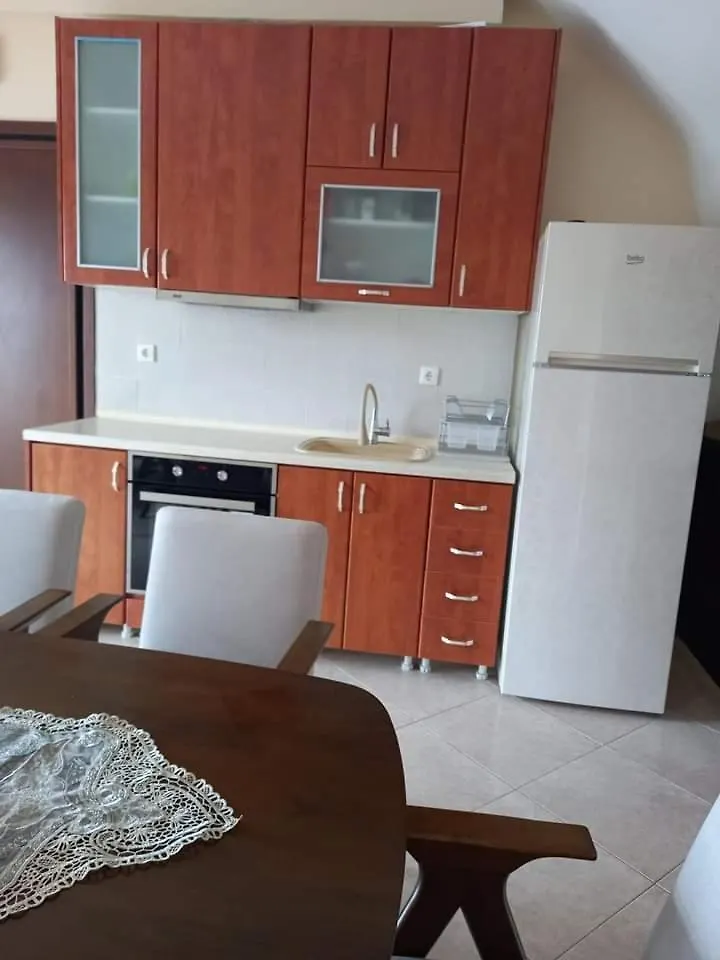 Anzhela Apartment Nea Roda 0*,